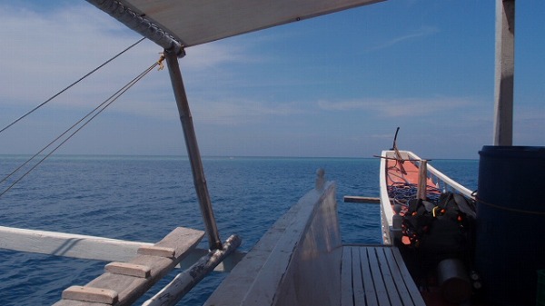 Apo Reef Natural Park